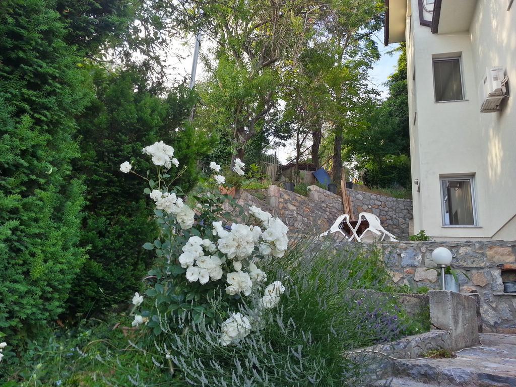 Maslov Apartments Ohrida Exterior foto